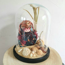 Charger l'image dans la galerie, Calypso <br/> Cloche Déco